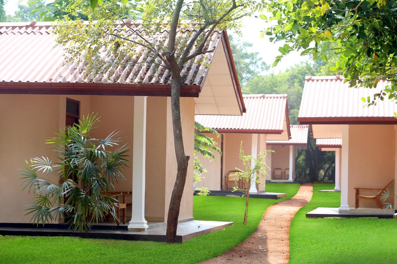 Yapagama Village Dambulla Exterior foto